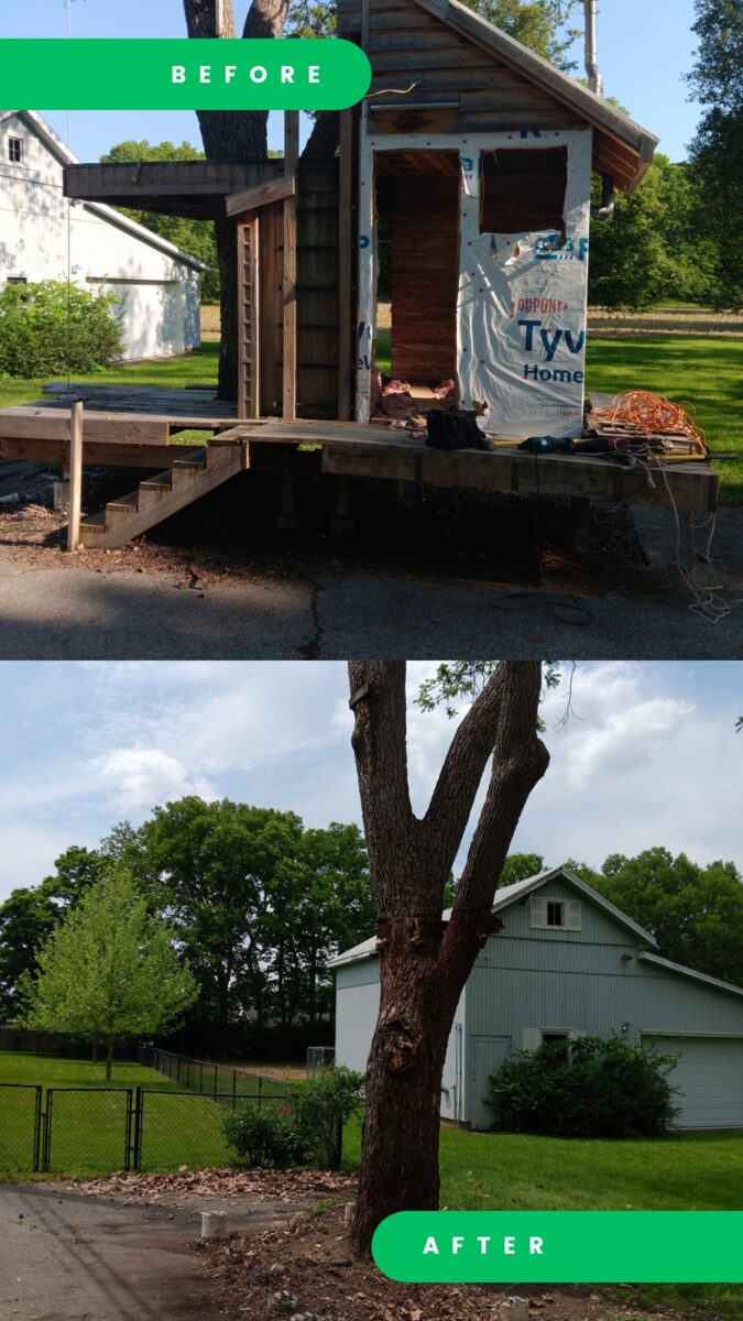 Before and after of a treehouse removal in Germantown. Before: a wooden treehouse and platform with stairs built around a tree. After: the tree standing alone on a clear patch of ground.