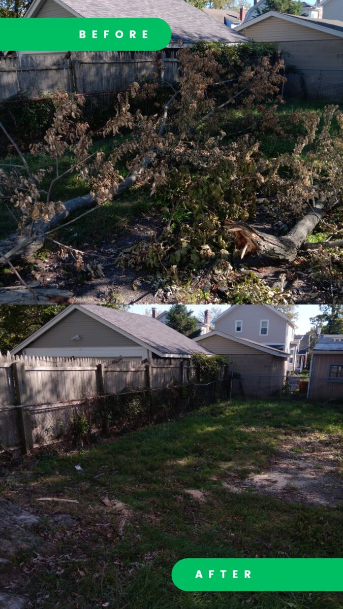 Before and after of a yard waste removal. Before: a fallen tree and a mass of dead branches across a fenced backyard. After: the backyard lawn clear.